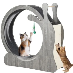 Cat Exercise Wheel, Large Cat Treadmill Wheel for Indoor Cats, 3-in-1 Cat Treadmill with Scratching Board and Play, Customized