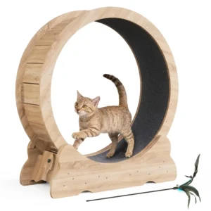 Cat Exercise Wheel, Cat Running Wheel with Smooth and Quiet Roller, Detachable Carpet and Toy Teaser for Fun, Customized