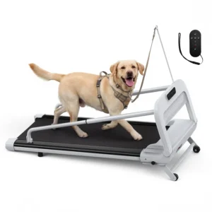 Dog Treadmill for Small & Medium Dogs, Quiet 2.5HP Motor, Remote Control, LED Display, Indoor Pet Exercise Machine, Customized